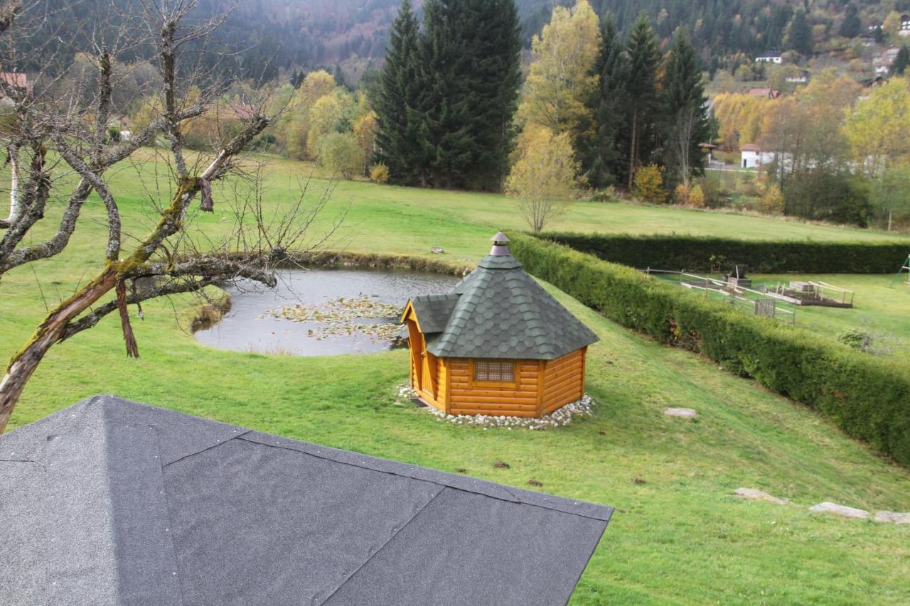 Chalet Centauree - Remy Herold Xonrupt-Longemer ภายนอก รูปภาพ
