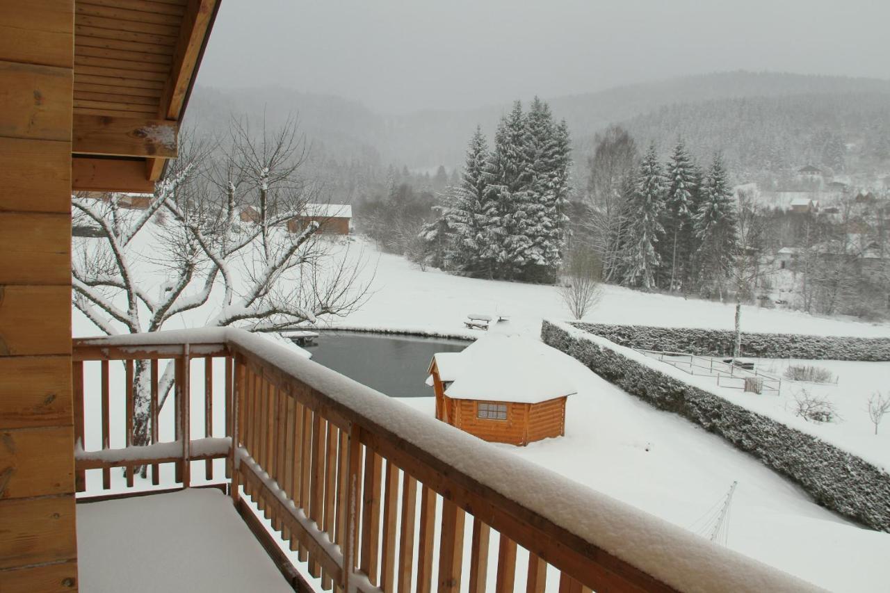 Chalet Centauree - Remy Herold Xonrupt-Longemer ภายนอก รูปภาพ