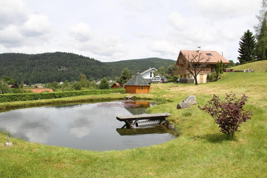Chalet Centauree - Remy Herold Xonrupt-Longemer ภายนอก รูปภาพ