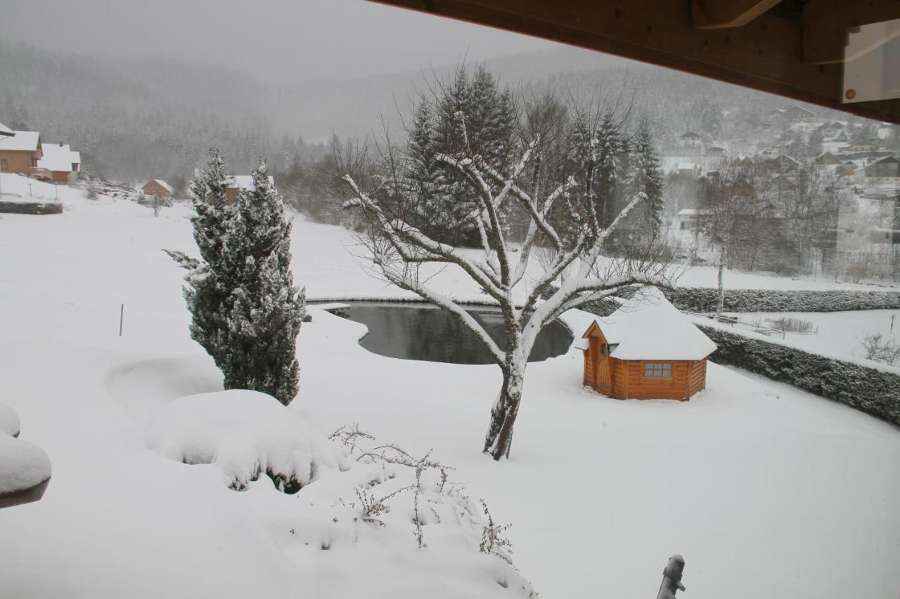 Chalet Centauree - Remy Herold Xonrupt-Longemer ภายนอก รูปภาพ