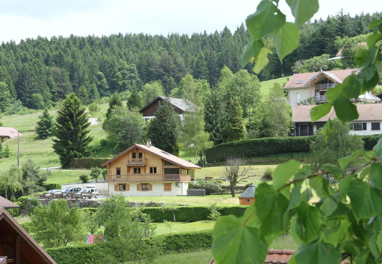 Chalet Centauree - Remy Herold Xonrupt-Longemer ภายนอก รูปภาพ