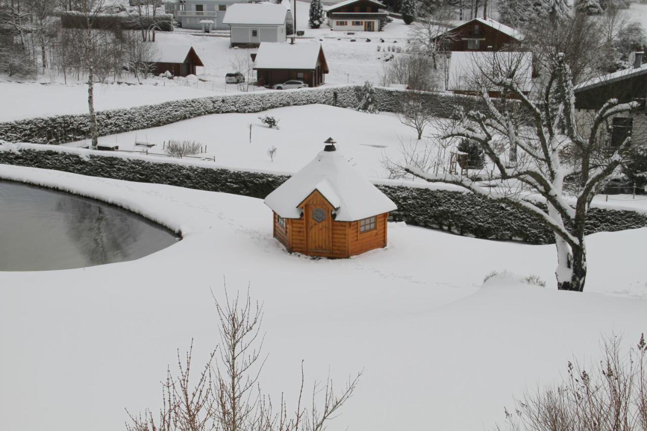 Chalet Centauree - Remy Herold Xonrupt-Longemer ภายนอก รูปภาพ